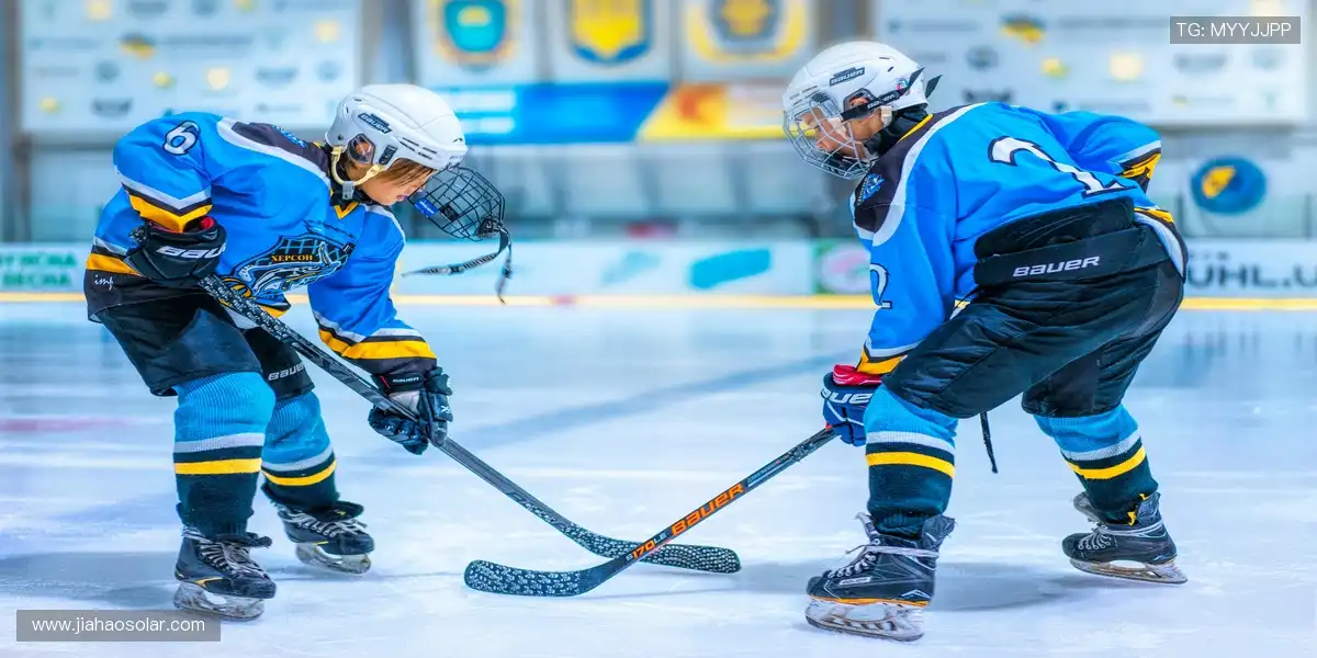 🏋️‍♂️专业品质，耐用舒适！从健身器材到运动服饰，你的健康首选！🎽